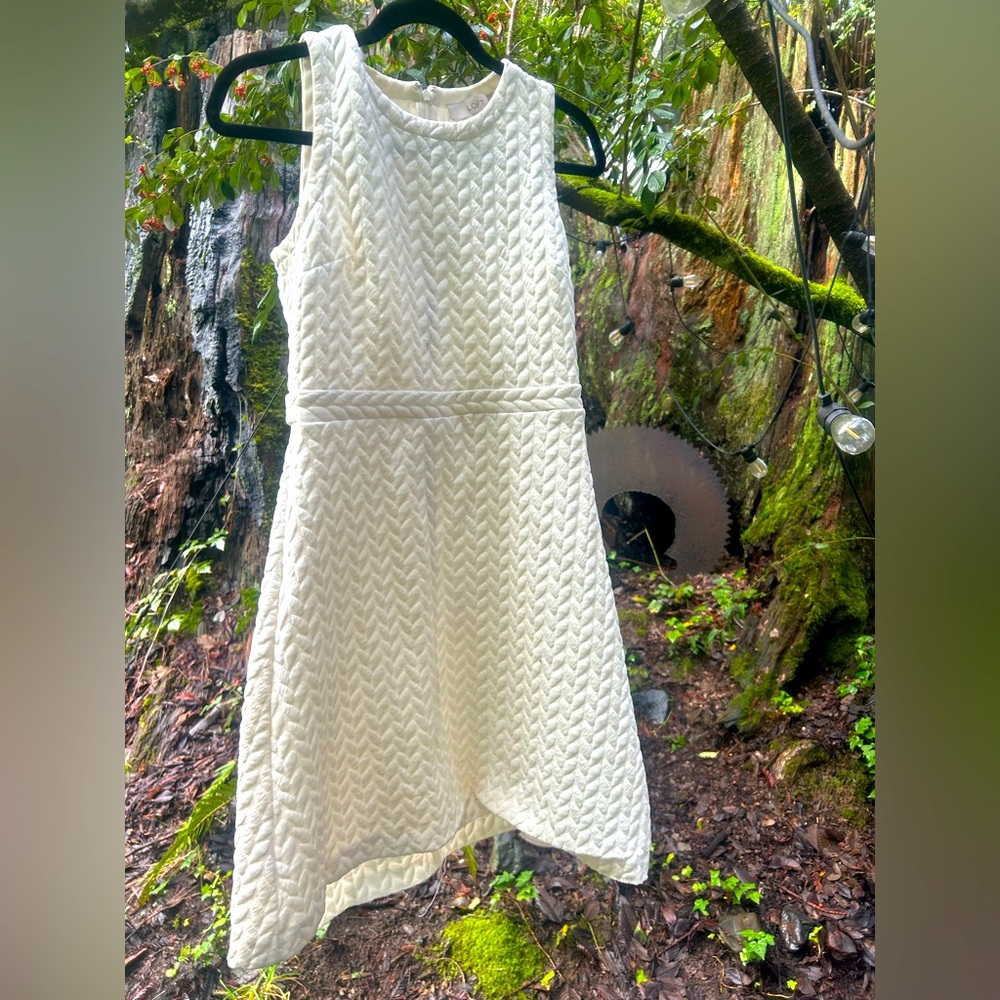 Ann Taylor loft dress